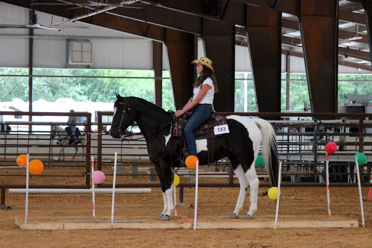 Equine Trail Sports (ETS) Clinic