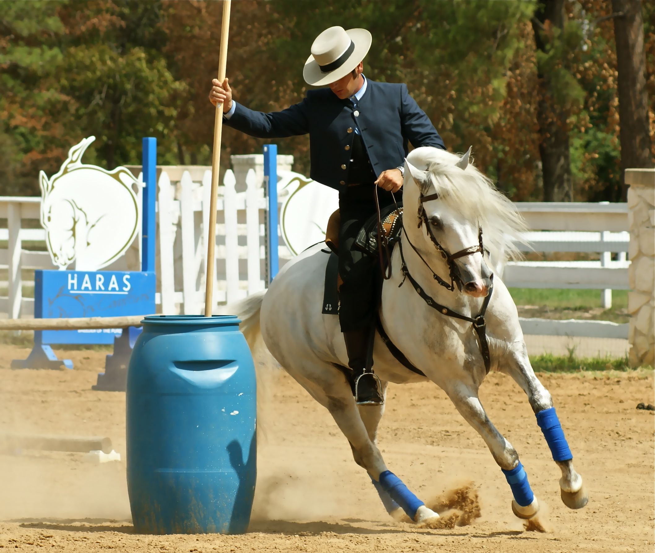 What is Working Equitation (WE United)?  It’s Awesome!