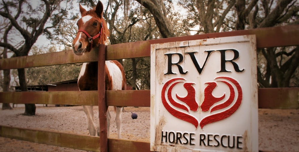 RVR Horse Rescue