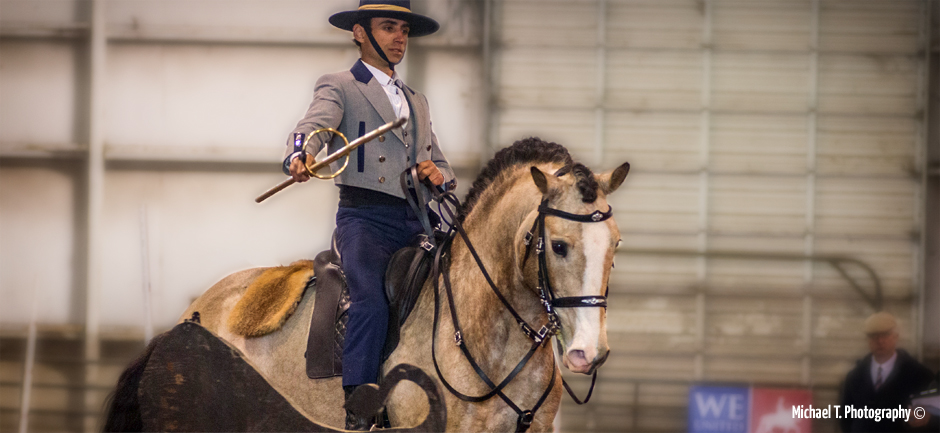 Judging the sport of Working Equitation: WE United