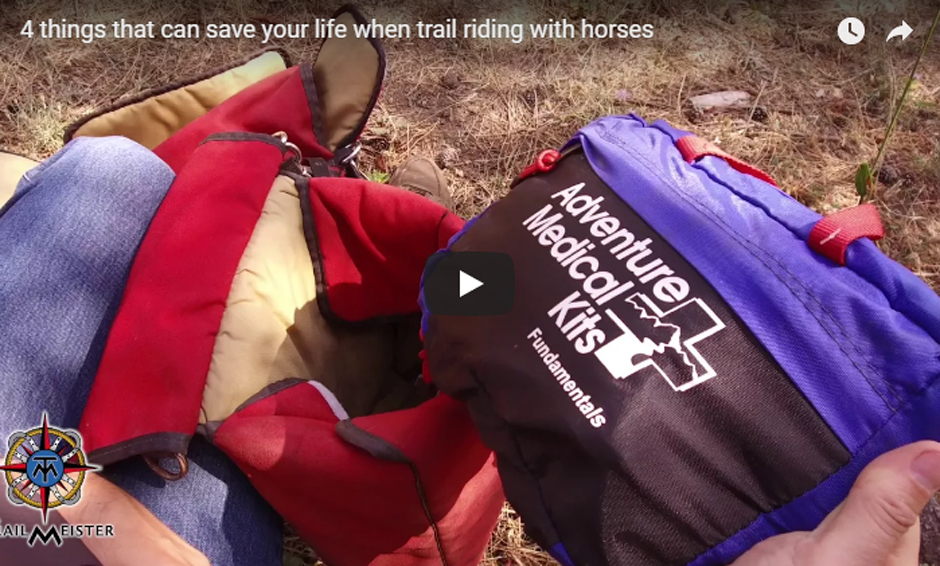 4 things that can save your life when trail riding with horses