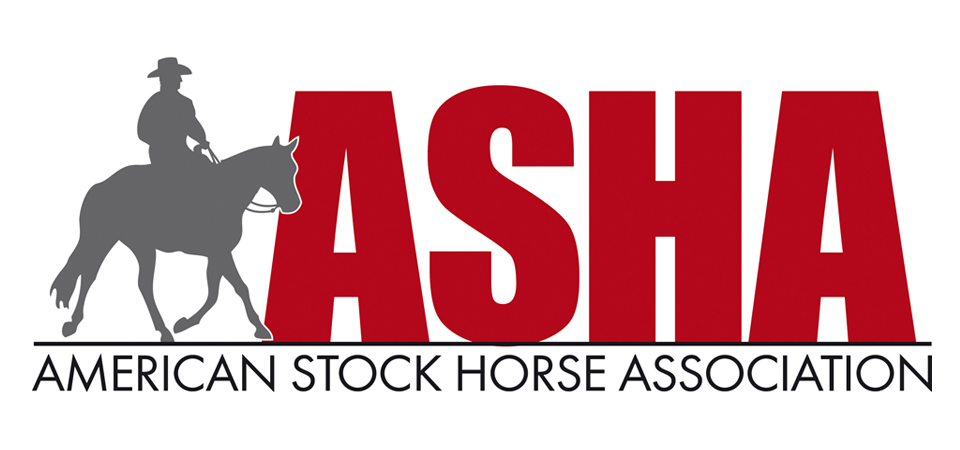 The American Stock Horse Association