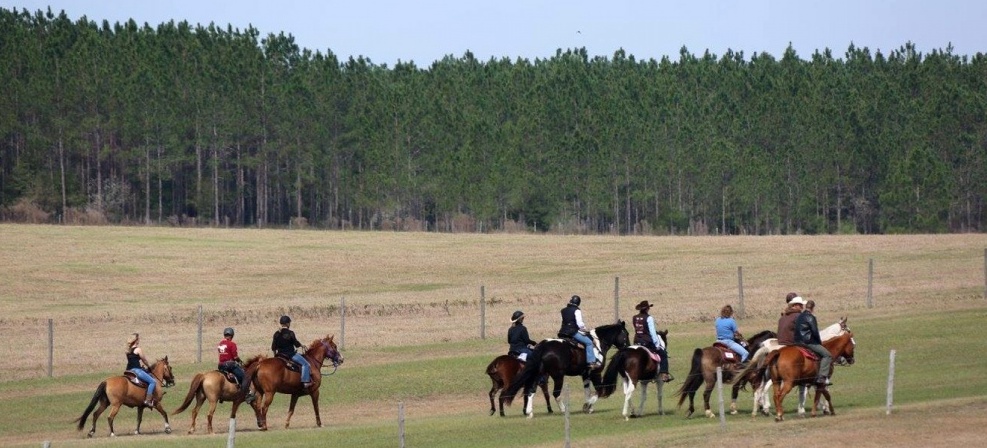 Equine Trail Sports: Raising Funds for the Florida Sheriff’s Boys Ranch