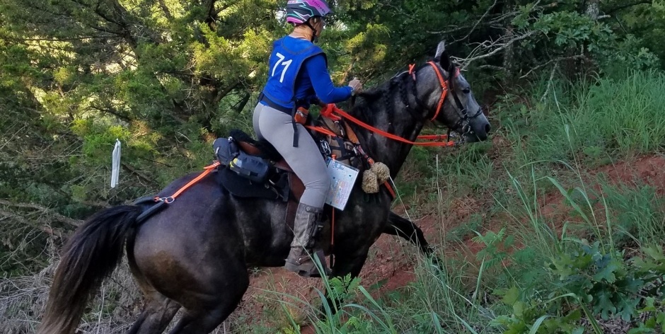 NATRC: The TOP 10 Myths of Distance Competitive Trail Riding