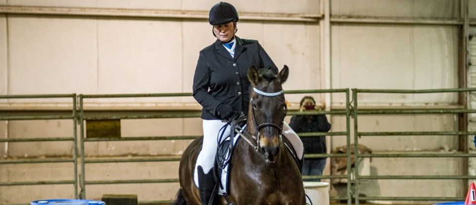 Working Equitation: Improving Partnership Between Horse and Rider