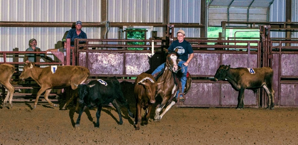 National Working Cow Horse Association