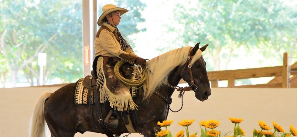 Working Equitation: Gaited Horses to Compete on Equal Footing in 2019