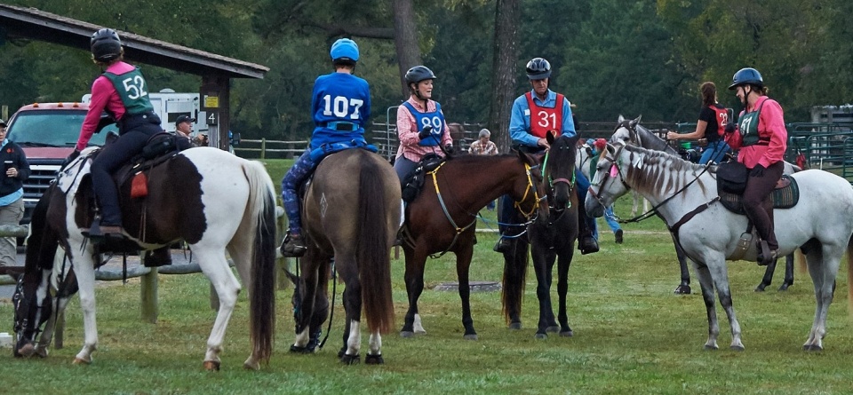 NATRC: Strategy in Competitive Trail Riding (Part III)