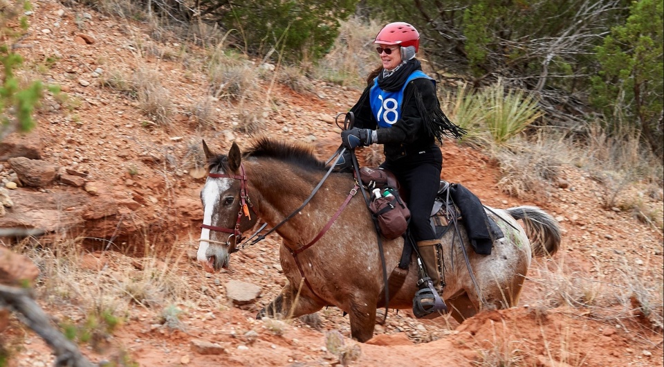 NATRC: Strategy in Competitive Trail Riding (Part II)