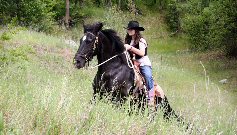 Gaited Horse Versatility – Myths or Facts?