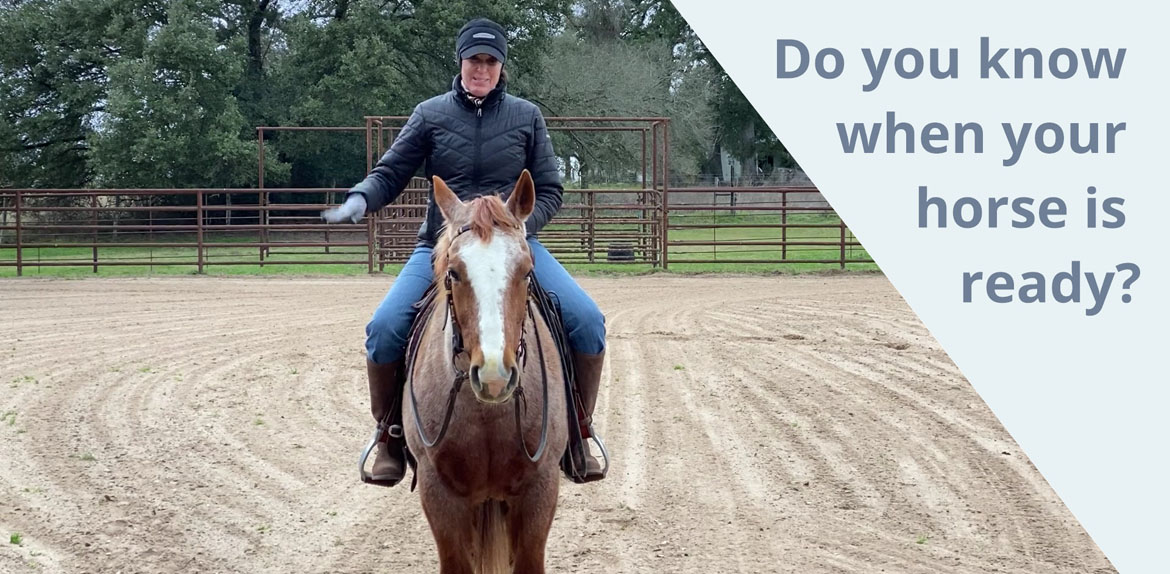 Do you know when your horse is ready?